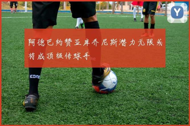 阿德巴约赞亚库乔尼斯潜力无限或将成顶级传球手