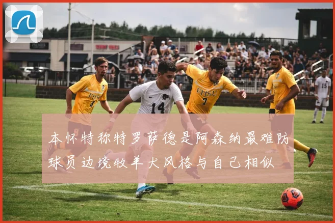 本怀特称特罗萨德是阿森纳最难防球员边境牧羊犬风格与自己相似
